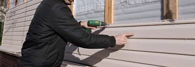 Best Custom Trim and Detailing for Siding  in Pioneer, CA